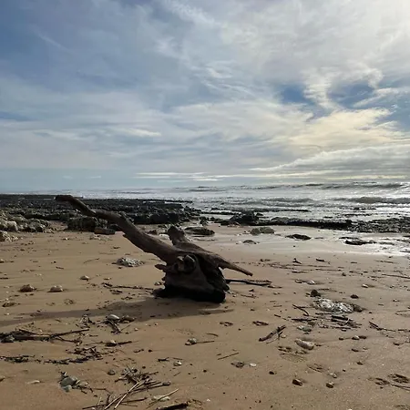 Tatil Evi Les Sables Vignier Saint-Georges-d'Oleron